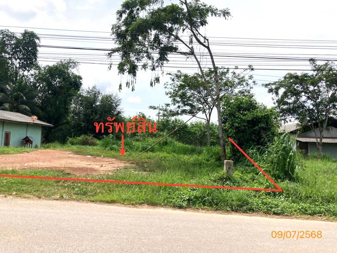 รูป บ้านเดี่ยว 343 ตร.วา พุนพิน สุราษฎร์ธานี 2.9M - รูปที่ 6/24