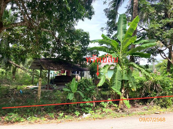 รูป บ้านเดี่ยว 343 ตร.วา พุนพิน สุราษฎร์ธานี 2.9M - รูปที่ 9/24