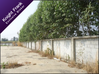 listing thumbnail image 12