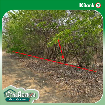 รูป ที่ดินว่างเปล่า 690 ตร.วา เขาค้อแกรนด์วิลล์ เมืองเพชรบูรณ์ เพชรบูรณ์ 714,000 - รูปที่ 18/20