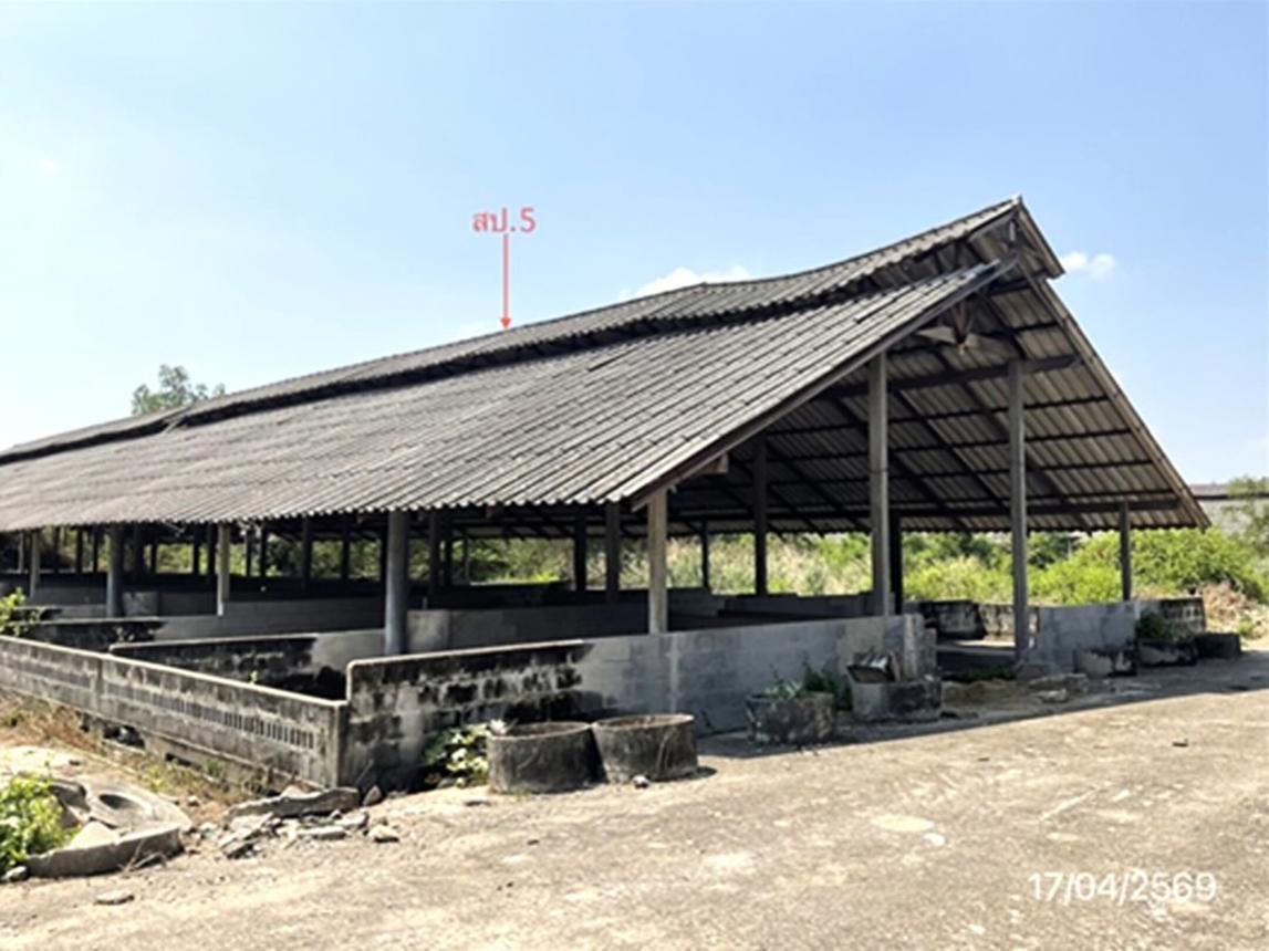 รูป ฟาร์ม 10017 ตร.วา โพธาราม ราชบุรี 12.8M - รูปที่ 32/44