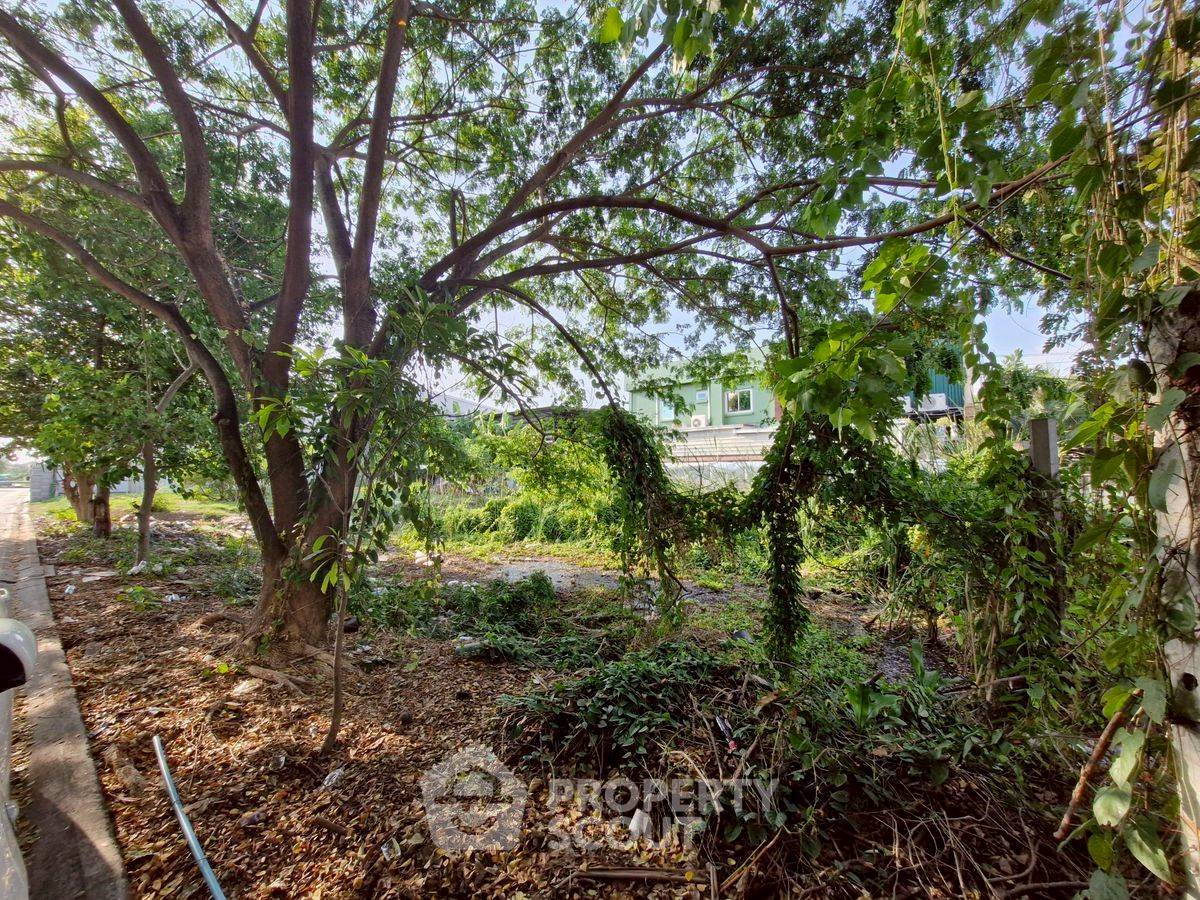 รูป ที่ดินสำหรับปล่อยขาย 400 ตารางเมตร แถว ใน บางพูด (ID 2914874) - รูปที่ 10/10