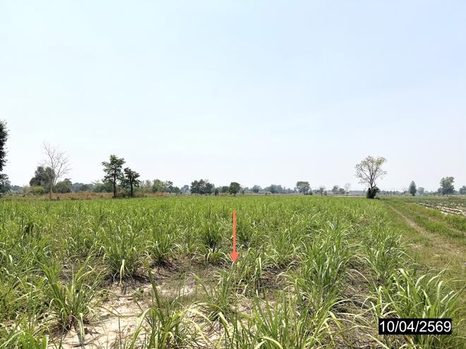 picture LAND 3200 Sq.w. Huai Mek Kalasin for 4.8M - 7/18