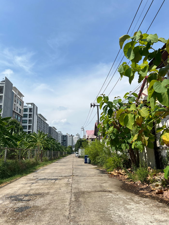 รูป ขายบ้านเดี่ยว 63 ตร.ว. ทำเลทองบางนา-ตราด 42 – ราคาที่ดินเปล่า แต่ได้บ้านพร้อมสวนร่มรื่น! - รูปที่ 4/8
