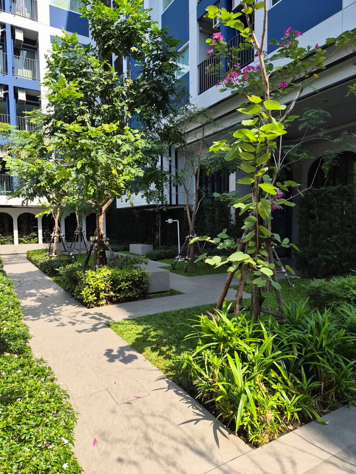 picture Condo for rent: Plum Condo Chaengwattana - Donmueng - 11/15