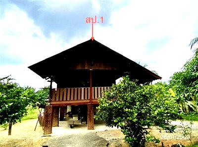 Houses for sale Sichon Nakhon Sri Thammarat : HOME 554 Sq.w. Sichon Nakhon Sri Thammarat for 1.3M