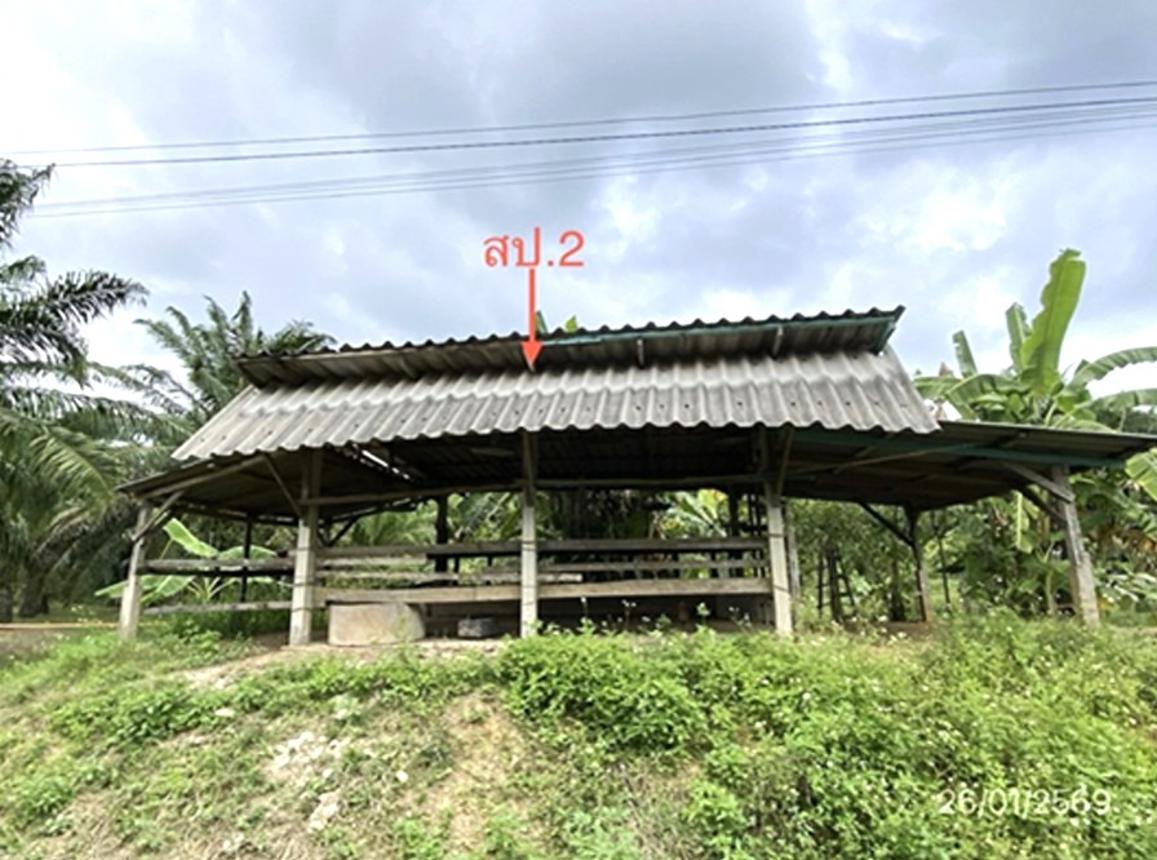 picture HOME 554 Sq.w. Sichon Nakhon Sri Thammarat for 1.3M - 10/18