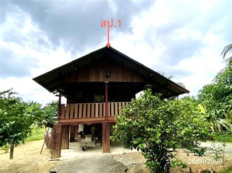 picture HOME 554 Sq.w. Sichon Nakhon Sri Thammarat for 1.3M - 15/18