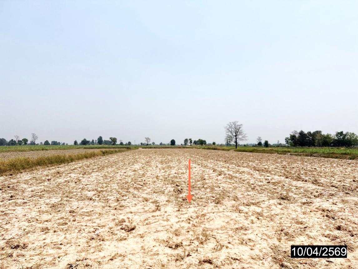 picture LAND 3200 Sq.w. Huai Mek Kalasin for 4.8M - 13/18
