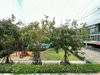 listing thumbnail image 16