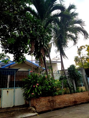 ที่ดิน ม.นานาชาติแสตมฟอร์ด : LTH6985 – Land with Single house FOR SALE in on nut size 57 Sq.Wah.BTS onnut Station ONLY 7.9 MB