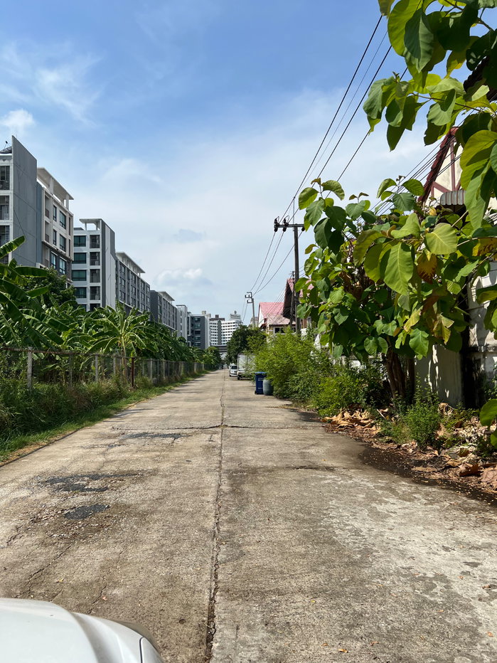 รูป ขายบ้านเดี่ยว 63 ตร.ว. ทำเลทองบางนา-ตราด 42 – ราคาที่ดินเปล่า แต่ได้บ้านพร้อมสวนร่มรื่น! - รูปที่ 3/8