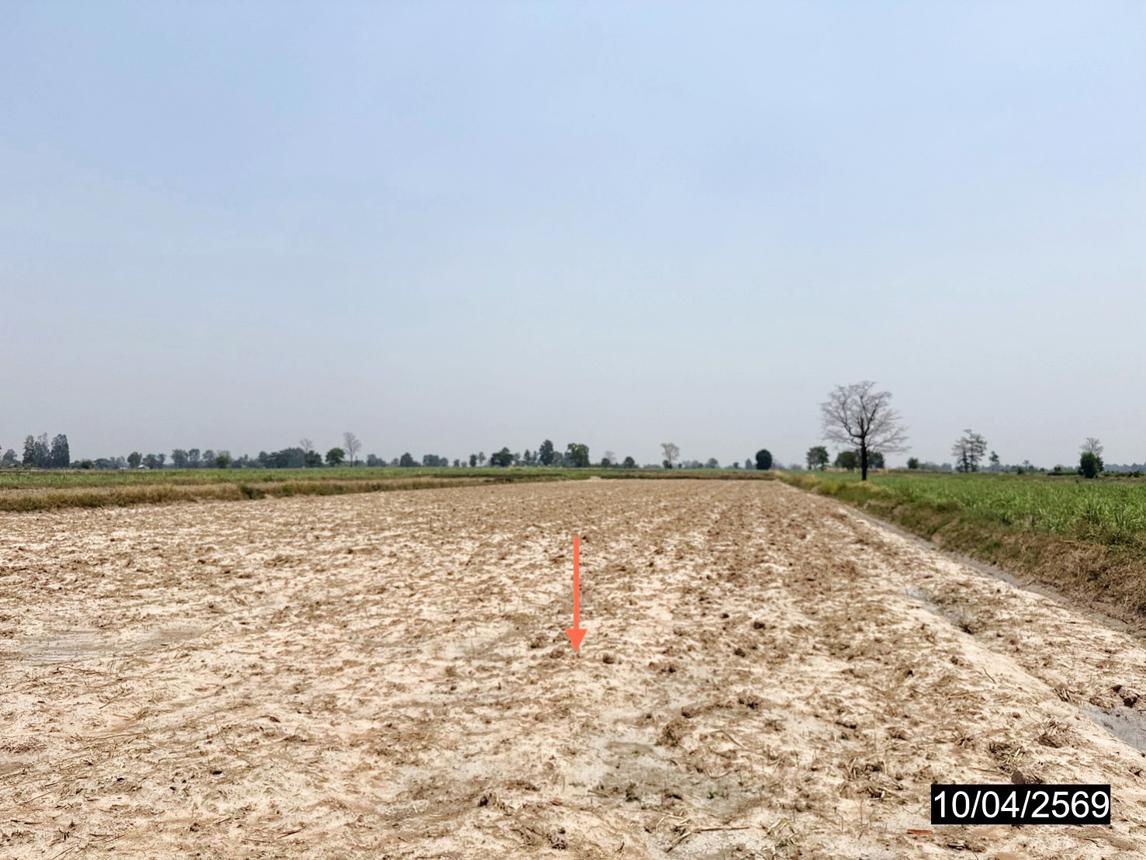 picture LAND 3200 Sq.w. Huai Mek Kalasin for 4.8M - 12/18