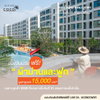 listing thumbnail image 0