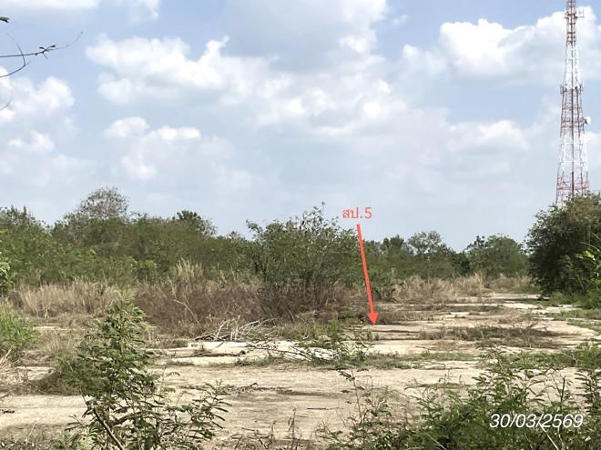 รูป บ้านเดี่ยว 5290 ตร.วา ศรีมหาโพธิ ปราจีนบุรี 13.1M - รูปที่ 13/42