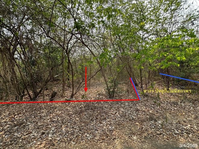 รูป ที่ดินว่างเปล่า 690 ตร.วา เขาค้อแกรนด์วิลล์ เมืองเพชรบูรณ์ เพชรบูรณ์ 714,000 - รูปที่ 2/20
