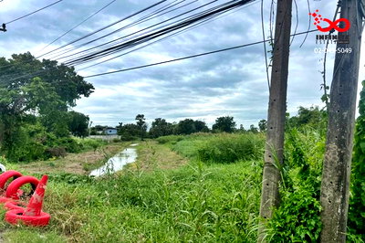 ที่ดิน เมืองปทุมธานี ปทุมธานี : ขายที่ดิน 1 ไร่ ถนนบางกระผึ้ง ปทุมธานี  ใกล้ทางหลวง 347 ปทุมธานี-บางปะหัน 