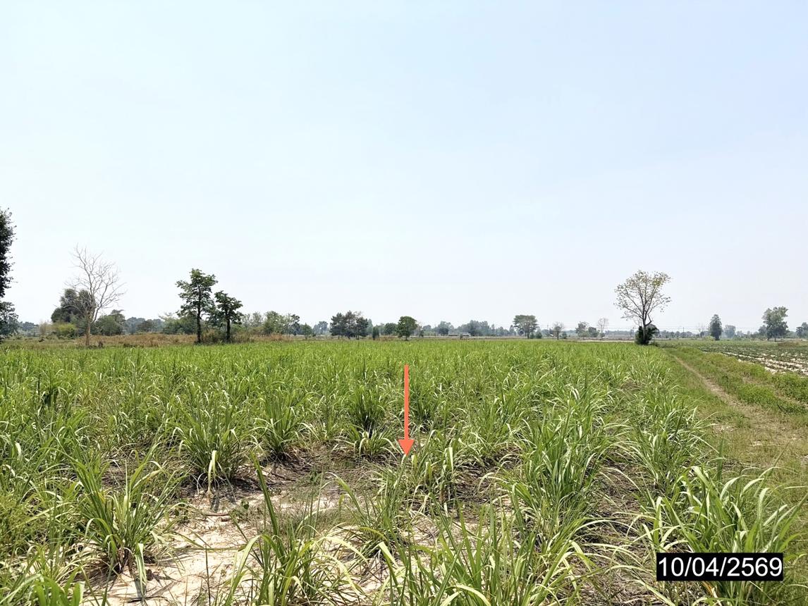 picture LAND 3200 Sq.w. Huai Mek Kalasin for 4.8M - 14/18