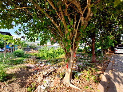 ที่ดิน เมืองทองธานี : ที่ดินสำหรับปล่อยขาย 400 ตารางเมตร แถว ใน บางพูด (ID 2914874)