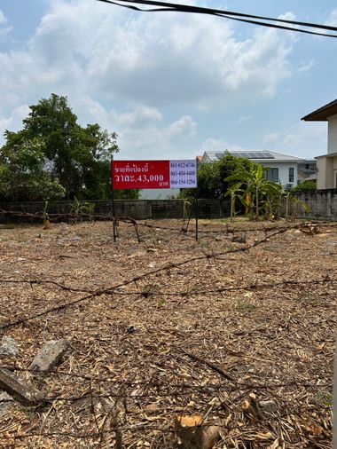 Land for sale, 165 sq wah, Tararom Parkway Home Ramkhamhaeng 150