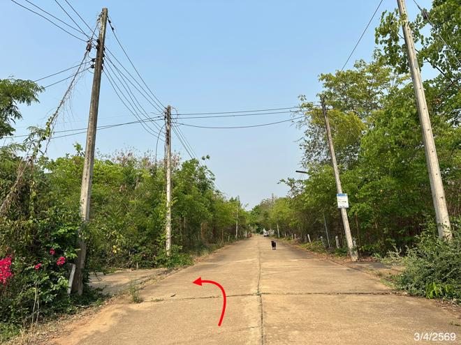 รูป ที่ดินว่างเปล่า 690 ตร.วา เขาค้อแกรนด์วิลล์ เมืองเพชรบูรณ์ เพชรบูรณ์ 714,000 - รูปที่ 8/20