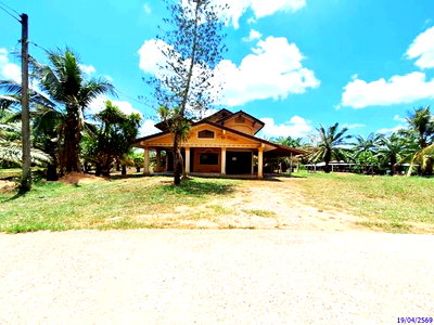 บ้านเดี่ยว ตรัง : บ้านเดี่ยว 92.3 ตร.วา วังวิเศษ ตรัง 2M