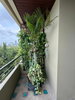 listing thumbnail image 20