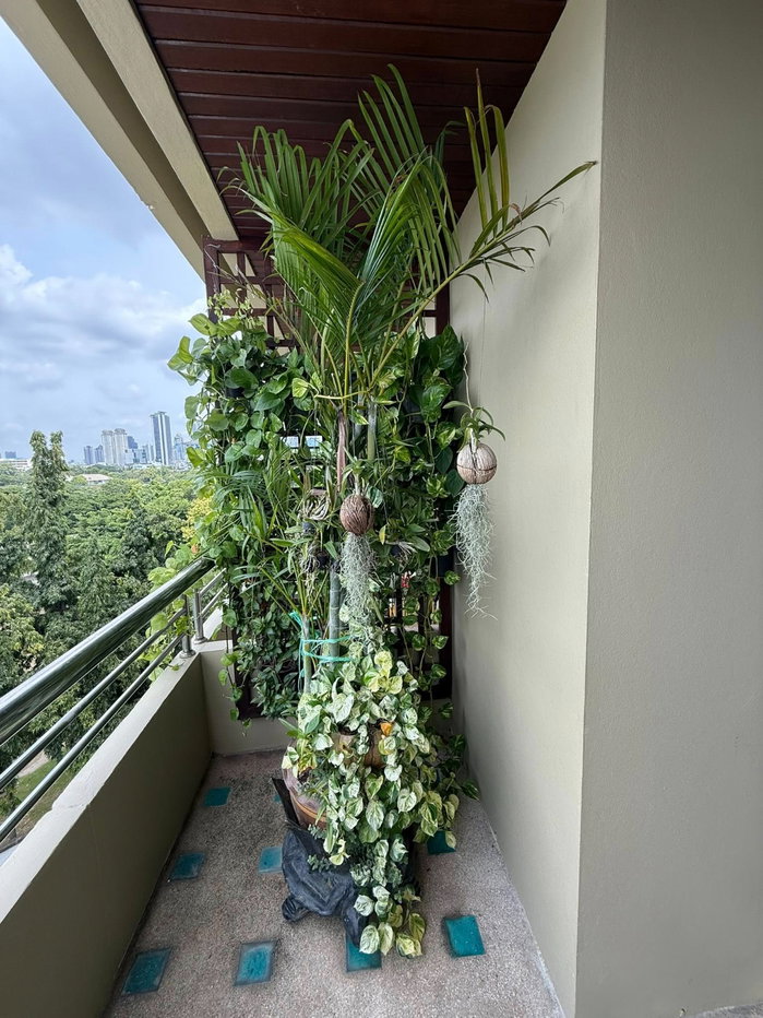 รูป 🔥ND0637✨ปล่อยให้เช่า คอนนโด สุพรีม วิลล์🏡 ( Supreme ville Condominium )🏡  - รูปที่ 21/24