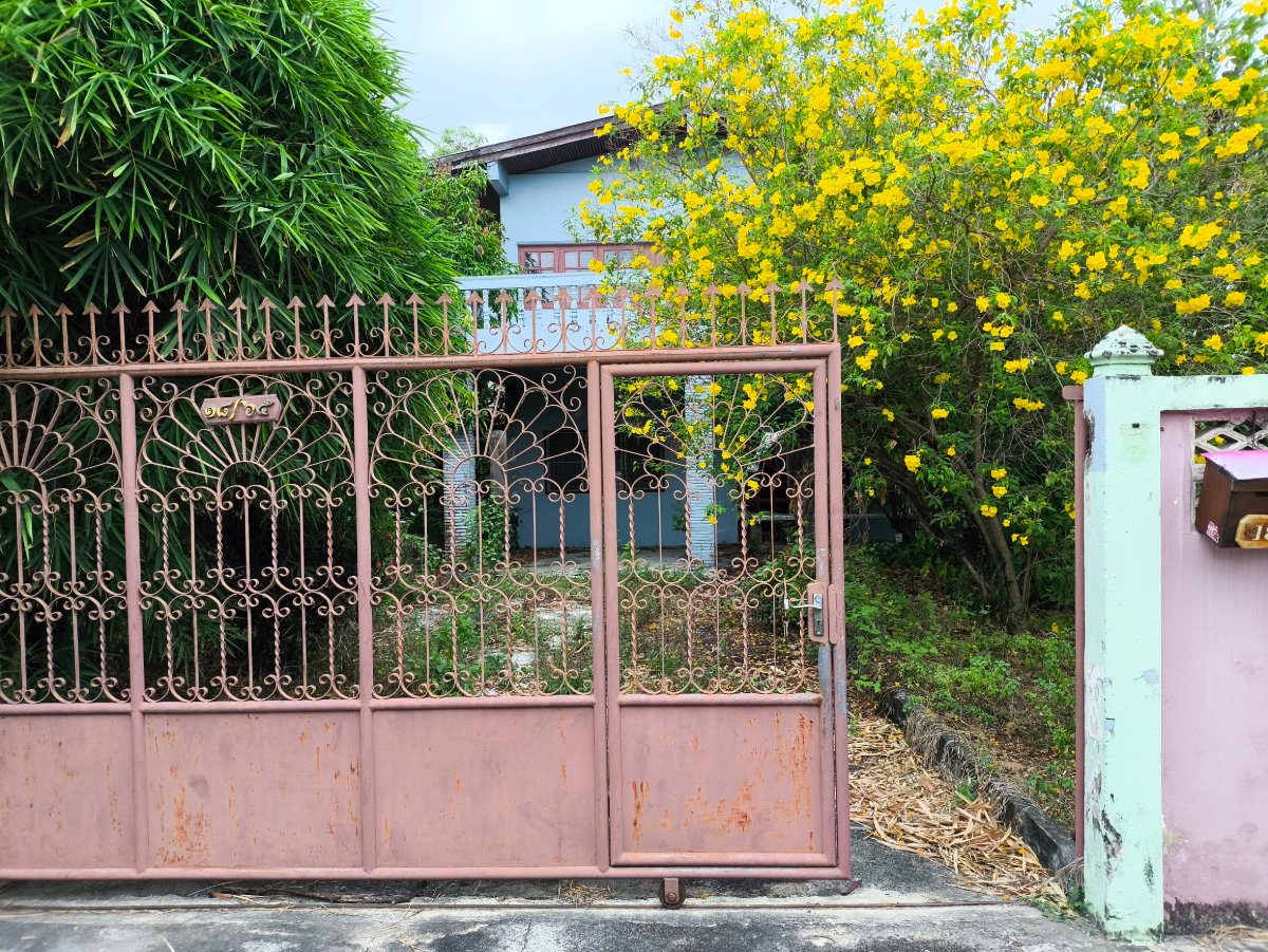 รูป บ้านเช่าทั้งหลัง พื้นที่ขนาด 100 ตารางวา - รูปที่ 1/3
