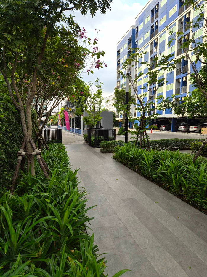 picture Condo for rent: Plum Condo Chaengwattana - Donmueng - 14/15
