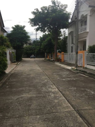 picture Single house for rent on Borommaratchachonnani Road. - 10/10