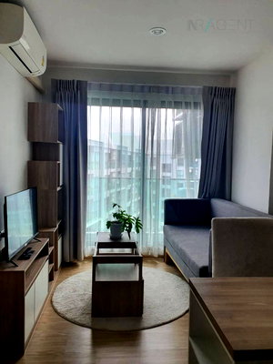 Condos for rent : For Rent Condo THE EXCEL HIDEAWAY SUKHUMVIT 50 Building 1, Floor 8,1 bed room, Room size 30 sqm