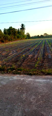 Land for sale Uthai Thani : Beautiful land for sale, located on the main road in Lan Sak District, Uthai Thani Province. Convenient access and close to tourist attractions.