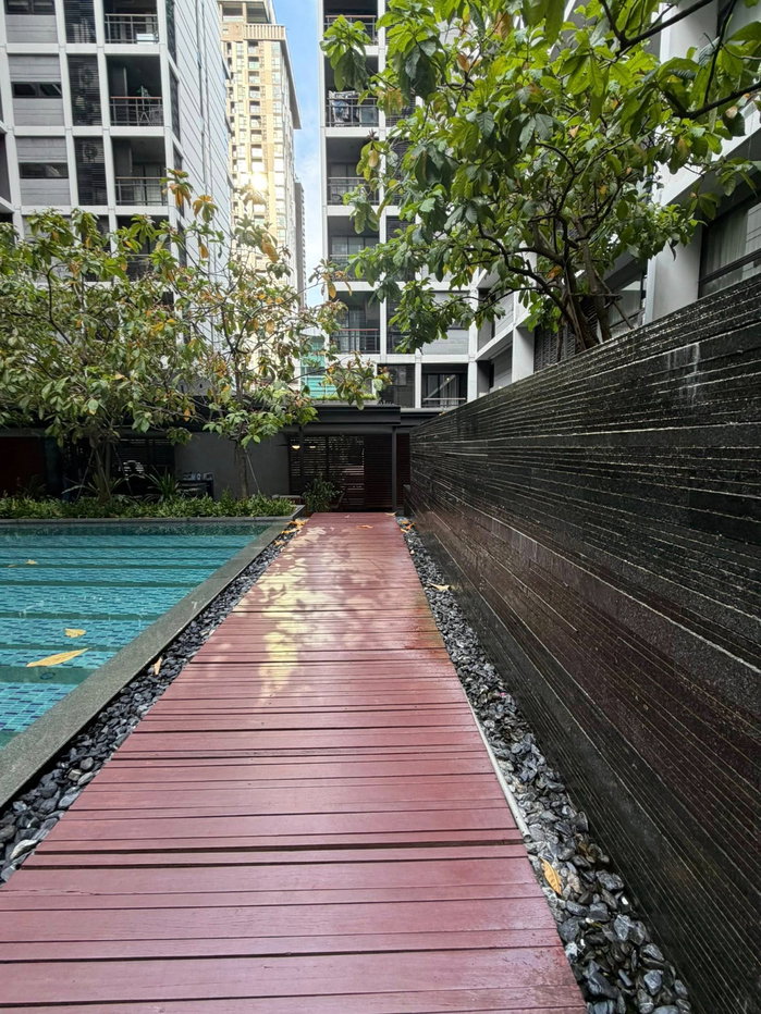 picture ✨Condo for Rent : Mode Sukhumvit 61 (AP-02) ( line : @condo91 ) - 11/12