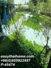 listing thumbnail image 34