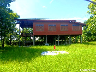 บ้านเดี่ยว สุโขทัย : บ้านเดี่ยว 300 ตร.วา เมืองสุโขทัย สุโขทัย 1.2M
