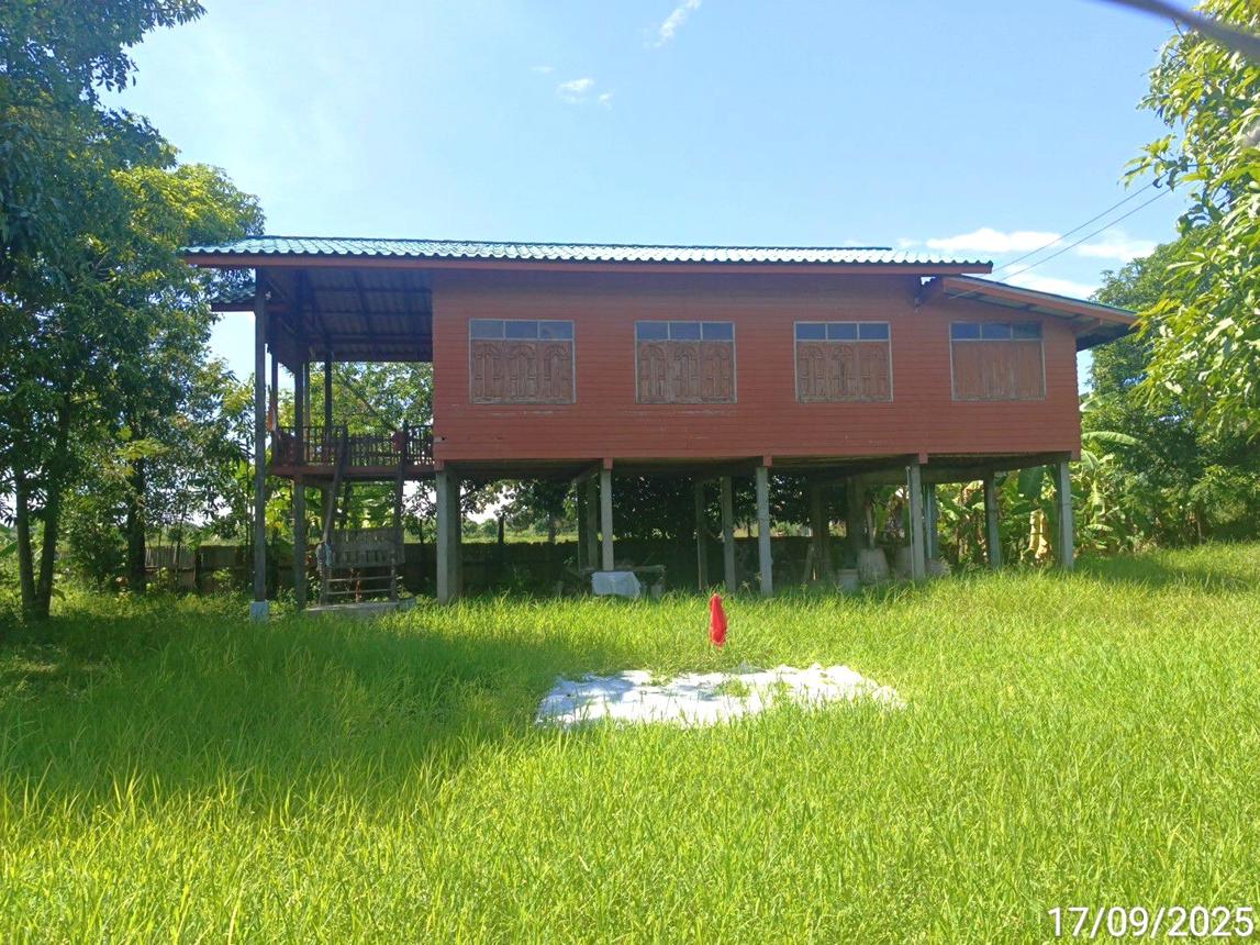 รูป บ้านเดี่ยว 300 ตร.วา เมืองสุโขทัย สุโขทัย 1.2M - รูปที่ 7/16