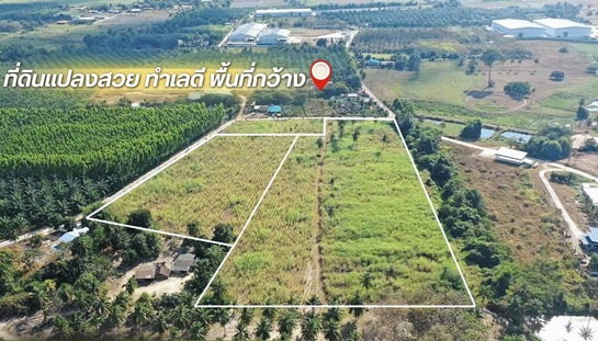รูป ขายที่ดินเปล่า บ้านบึง ชลบุรี 23ไร่ 2งาน 77ตรว. ถูกที่สุดในละแวกนี้ - รูปที่ 1/10
