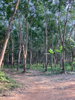 listing thumbnail image 7