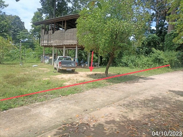 รูป J13206 ขายบ้านเดี่ยว ตำบล น้ำคำ อำเภอ สุวรรณภูมิ ร้อยเอ็ด - รูปที่ 7/8