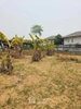 listing thumbnail image 2