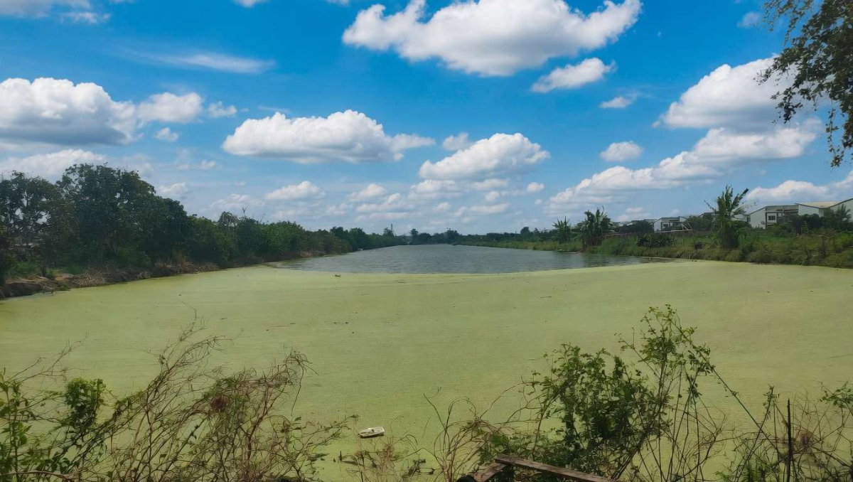 รูป ที่ดินทำเลทอง ใกล้สนามบินสุวรรณภูมิเพียง 15 นาที ติดถนนวัดศรี จ.สมุทรปราการ - รูปที่ 2/10
