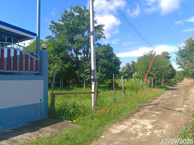 รูป บ้านเดี่ยว 300 ตร.วา เมืองสุโขทัย สุโขทัย 1.2M - รูปที่ 4/16