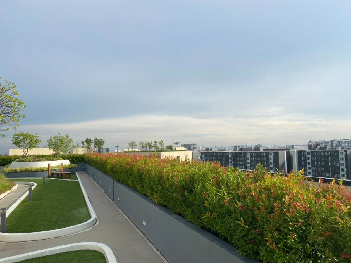 รูป ✅ ขายด่วนคอนโด ห้องสวยเฟอร์ครบ ใกล้ BTS สะพานใหม่ ✅ Plum Condo Saphanmai Station - พลัมคอนโด สะพานใหม่ สเตชั่น - รูปที่ 10/12