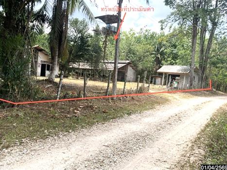 picture LAND 1709.6 Sq.w. Pa Bon Phatthalung for 2.5M - 21/24
