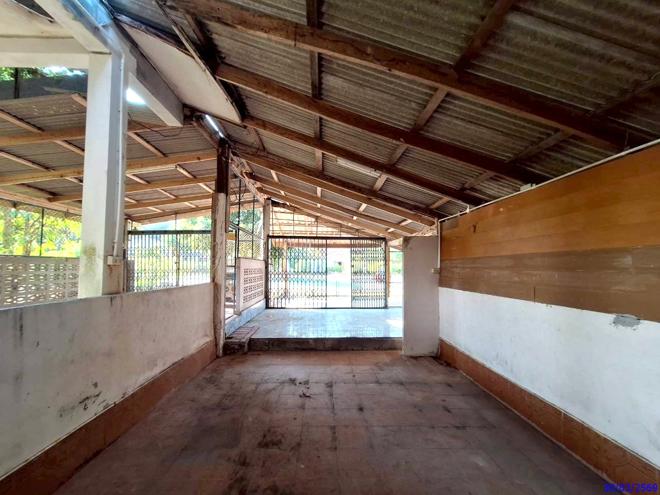 รูป บ้านเดี่ยว 77 ตร.วา ตะโหมด พัทลุง 1.1M - รูปที่ 3/34