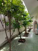 listing thumbnail image 11