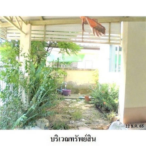 รูป Z3A1904 ขายบ้านเดี่ยว เพ็ญศิริเพลส สุวินทวงศ์-สุวรรณาภูมิ แขวง ลำต้อยติ่ง เขต หนองจอก จังหวัด กรุงเทพมหานคร - รูปที่ 8/8