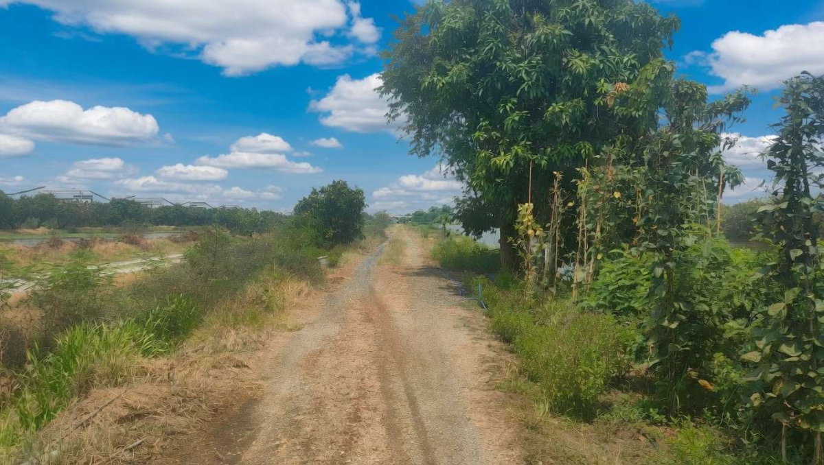 รูป ที่ดินทำเลทอง ใกล้สนามบินสุวรรณภูมิเพียง 15 นาที ติดถนนวัดศรี จ.สมุทรปราการ - รูปที่ 5/10