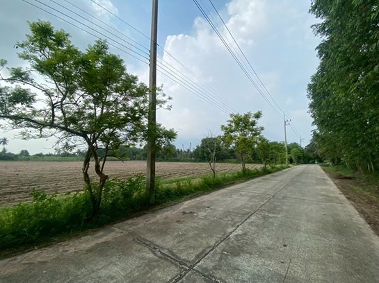 รูป ขายที่ดินเปล่า บ้านบึง ชลบุรี 23ไร่ 2งาน 77ตรว. ถูกที่สุดในละแวกนี้ - รูปที่ 7/10